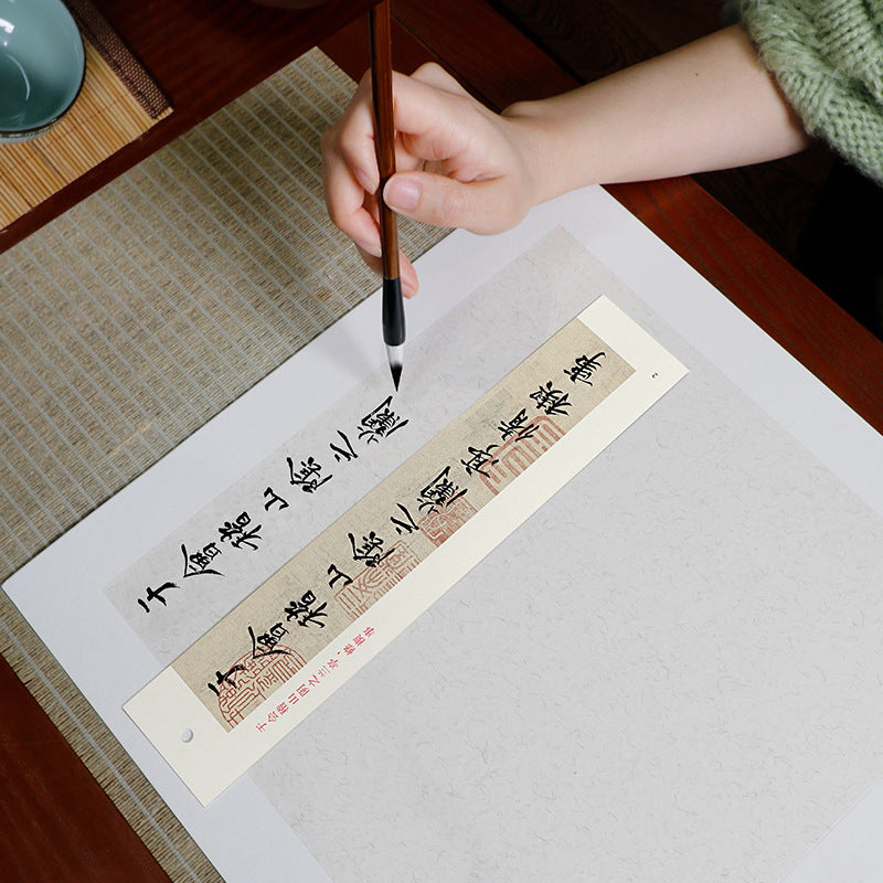 Wang Xizhi’s Lanting Xu Xing Shu Script Calligraphy Practice Cards – Up‑Close Study, Full Translation, Portable & Professional‑Grade